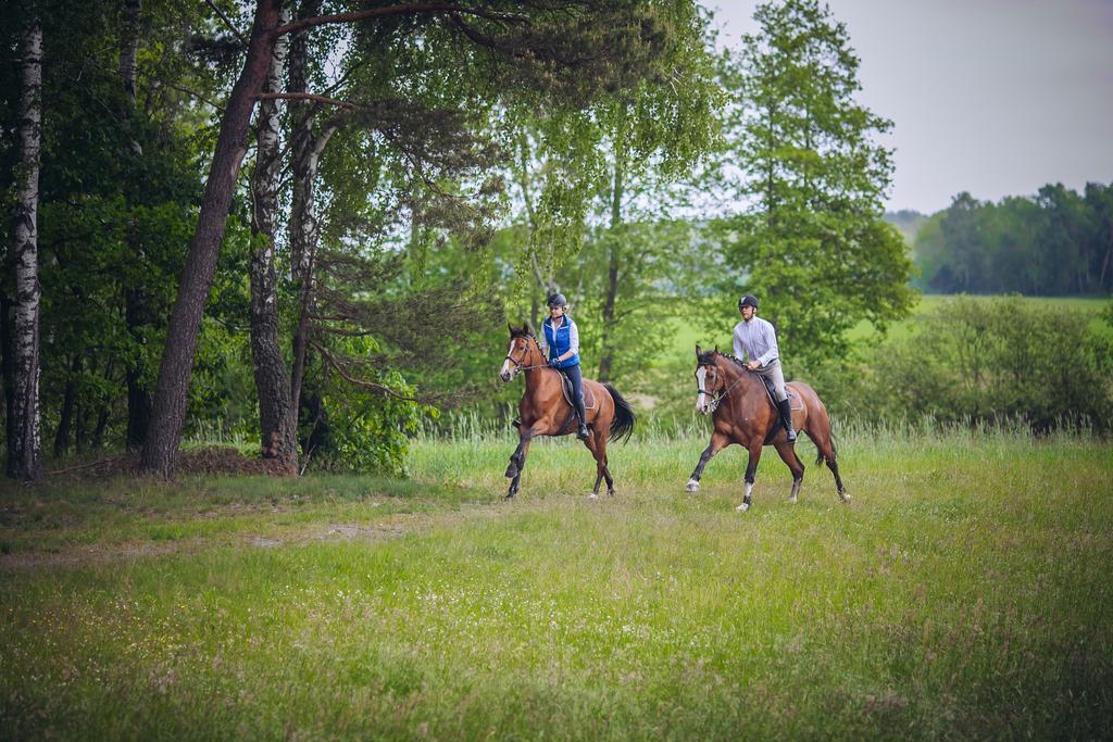 Hubertus Aparthotel & Restaurant & Horse Club Starogard Gdański Eksteriør bilde