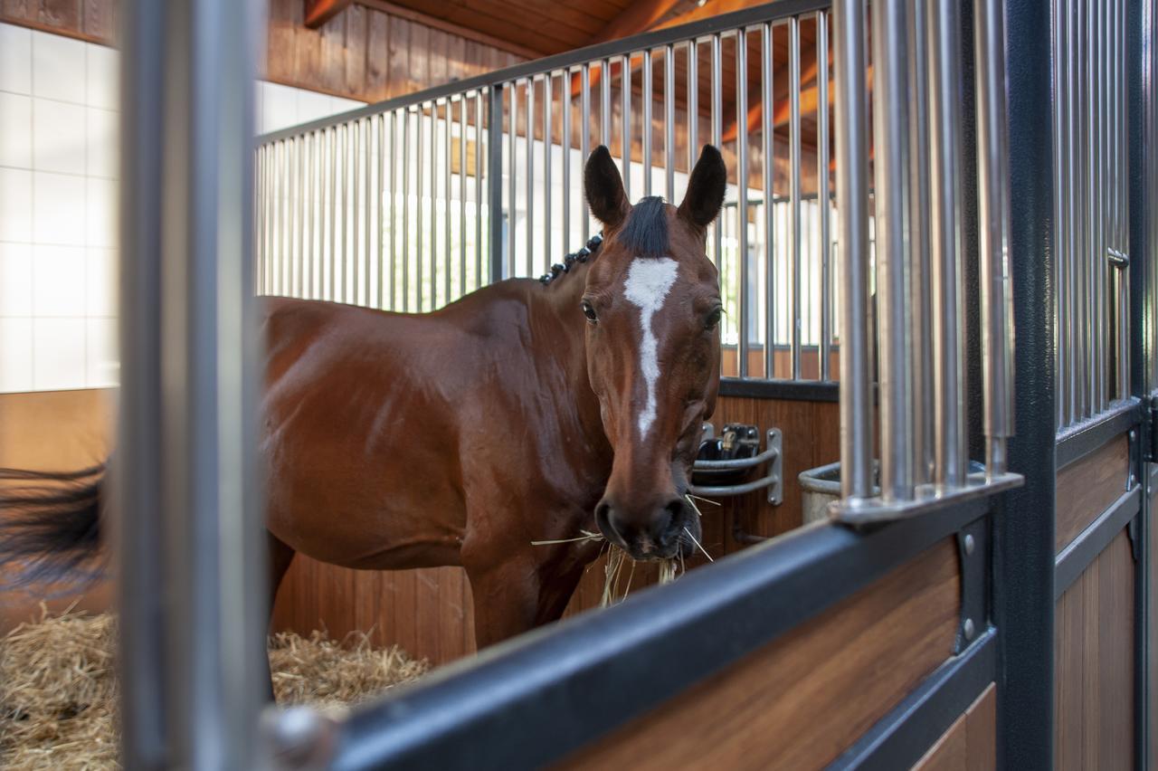 Hubertus Aparthotel & Restaurant & Horse Club Starogard Gdański Eksteriør bilde